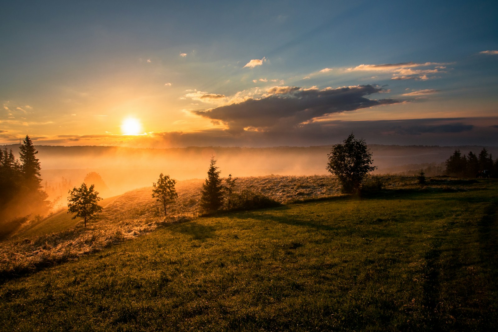Last Light